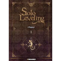 Solo Leveling - Roman 1