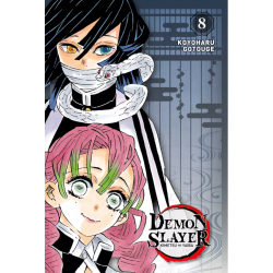 Demon Slayer - Edition...