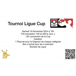 Pokemon Ligue cup du 16-11