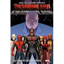 Shadowland : La chute de...